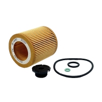 BIG FILTER GB-1449EC (BMW 11427640862, 11428683204) GB1449EC