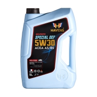 HAVENS Special OEF 5W30, 5л HSOEF5W30A5B55